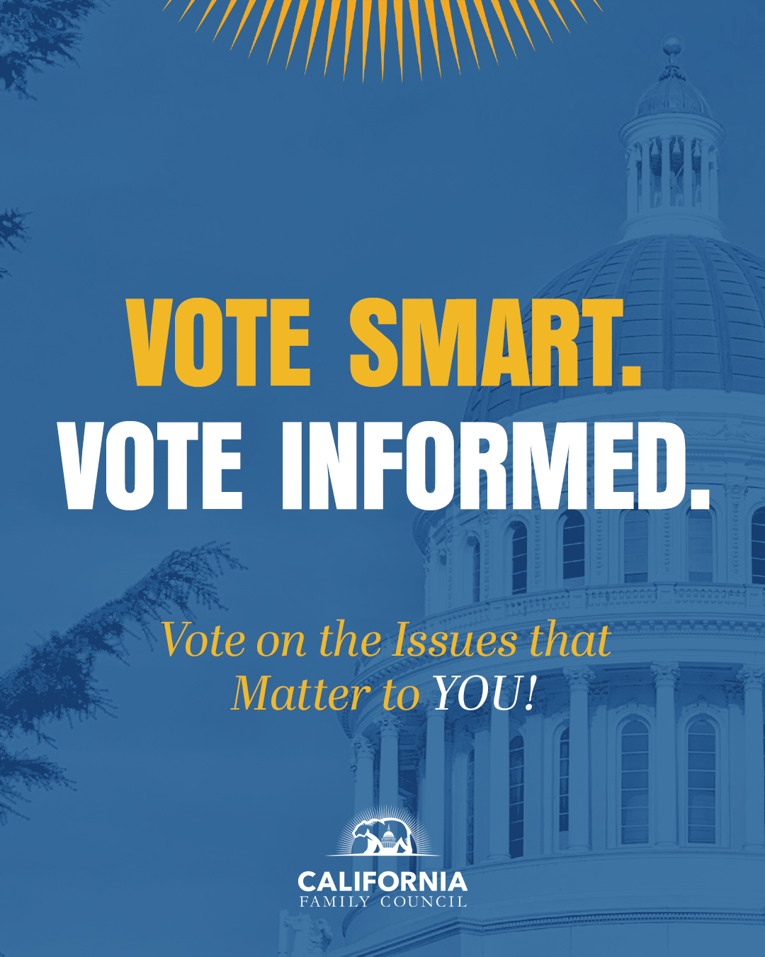 California State Candidates California Voter Guide